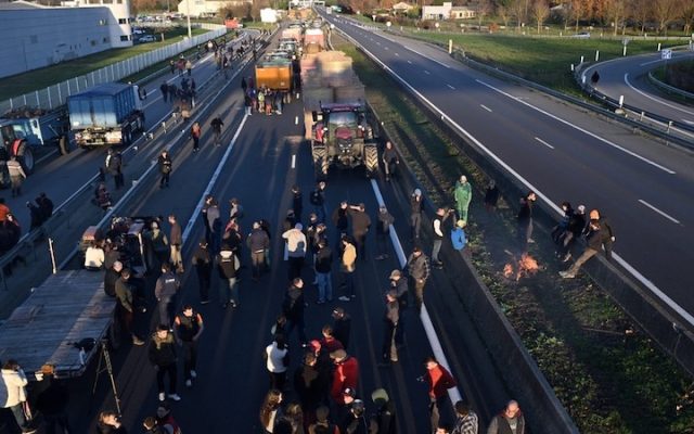 Dermatose nodulaire en Ariège : l’abattage achevé malgré la colère, la mobilisation s’étend au Sud-Ouest