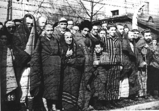 Se remémorer la Shoah pour ne jamais oublier