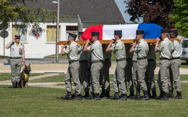 Ros, le chien du sergent Anicet Girardin tué au Liban, a été décoré de la croix de la Valeur militaire