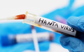 L’épidémie de hantavirus sur le navire Hondius devrait officiellement prendre fin le 2 juillet, selon l’OMS