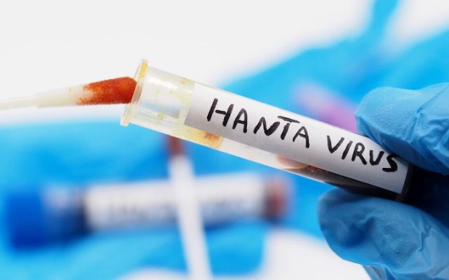 Hantavirus : Sébastien Lecornu annonce deux réunions de coordination interministérielles quotidiennes