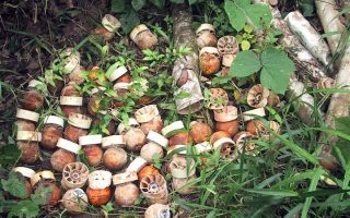 L’armée malienne a largué des bombes à sous-munitions sur des populations civiles touareg