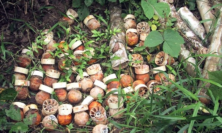L’armée malienne a largué des bombes à sous-munitions sur des populations civiles touareg