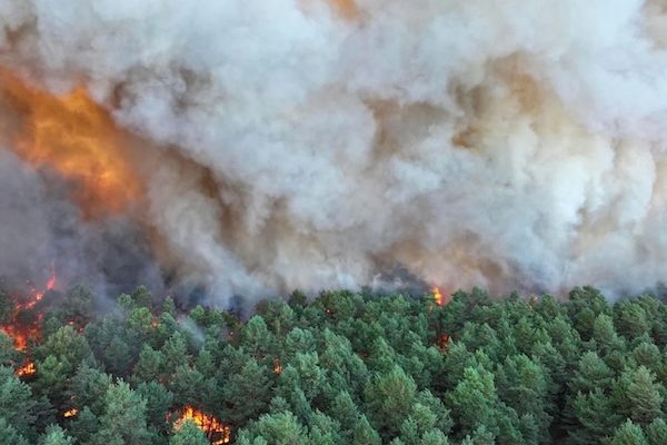 Incendie en forêt de Fontainebleau : Le combat contre le feu continue, le choc après la mise en cause d’un pompier, Macron attendu ce jeudi
