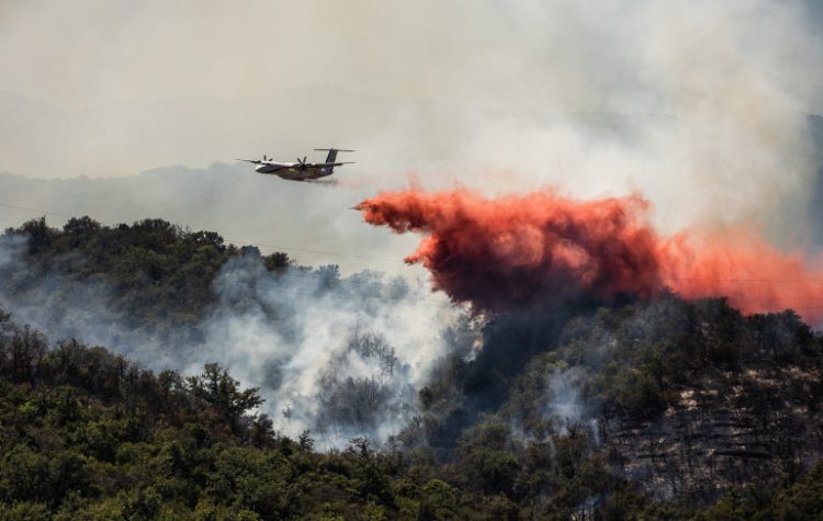 Les feux de forêt ravagent le Sud : un été sous le signe de la catastrophe ?