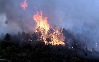 Un «feu gigantesque» a parcouru 4 600 hectares dans les Pyrénées-Orientales, 10 000 personnes ont été évacuées