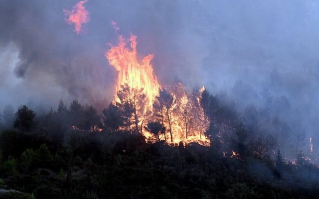 Un «feu gigantesque» a parcouru 4 600 hectares dans les Pyrénées-Orientales, 10 000 personnes ont été évacuées