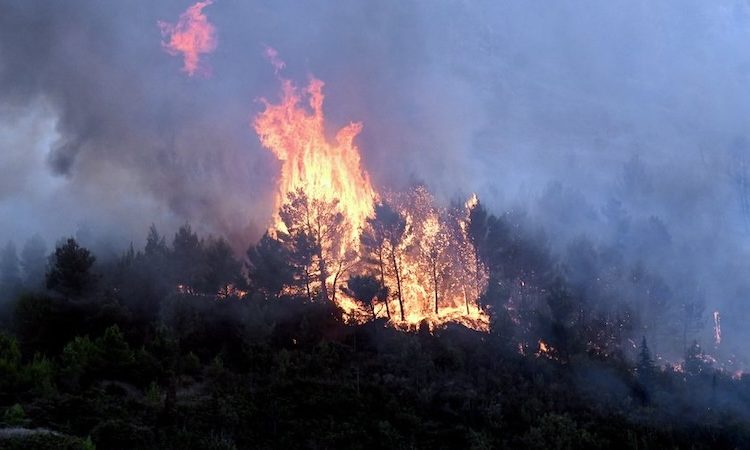 Un homme placé en détention provisoire après avoir provoqué plusieurs incendies dans les Deux-Sèvres et le Maine-et-Loire