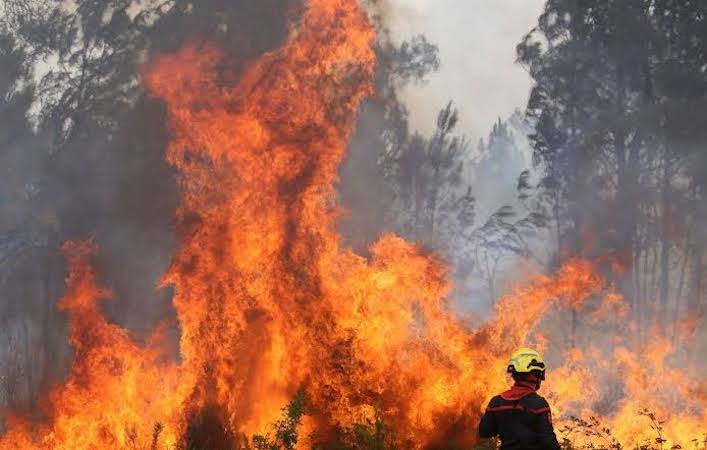 Incendies : 240 habitations brûlées, le feu « à 15 km » de la métropole bordelaise ; Laurent Nuñez appelle à la vigilance face à une situation « très défavorable »