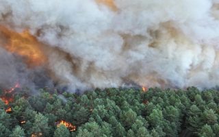 Incendies en forêt de Fontainebleau : six personnes en garde à vue, dont un pompier volontaire, qui a reconnu son implication dans un départ de feu