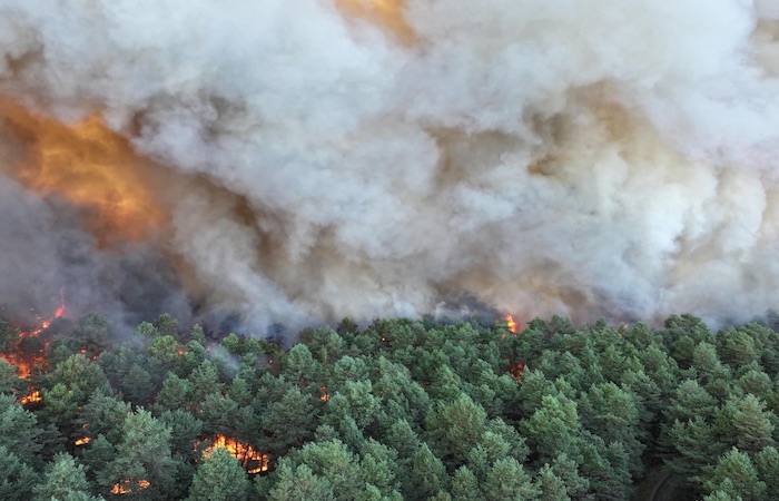 Incendies en forêt de Fontainebleau : six personnes en garde à vue, dont un pompier volontaire, qui a reconnu son implication dans un départ de feu