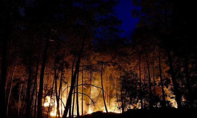 Incendie en forêt de Fontainebleau : jusqu’à 1 000 hectares touchés par les flammes, est d’une « ampleur exceptionnelle » ; deux Canadair mobilisés