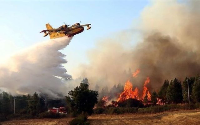 Algérie : les feux de forêts font deux morts, plusieurs blessés et d&rsquo;importants dégâts matériels  