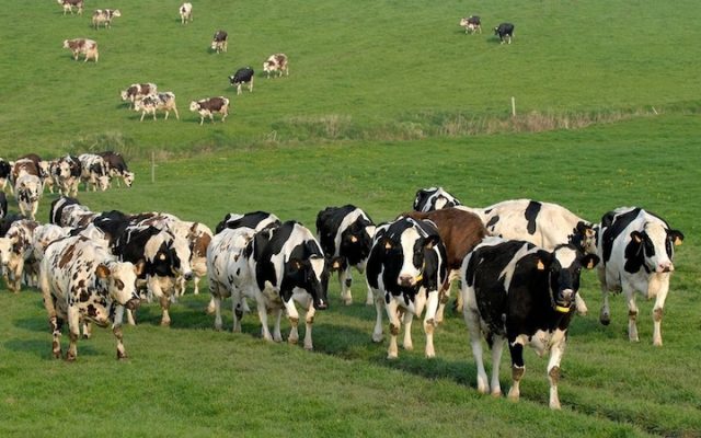 L’agriculture française souffre de la sécheresse et s’inquiète pour son avenir