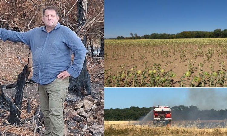 L’agriculture française en 2026 : quand produire ne suffit plus à dégager un revenu