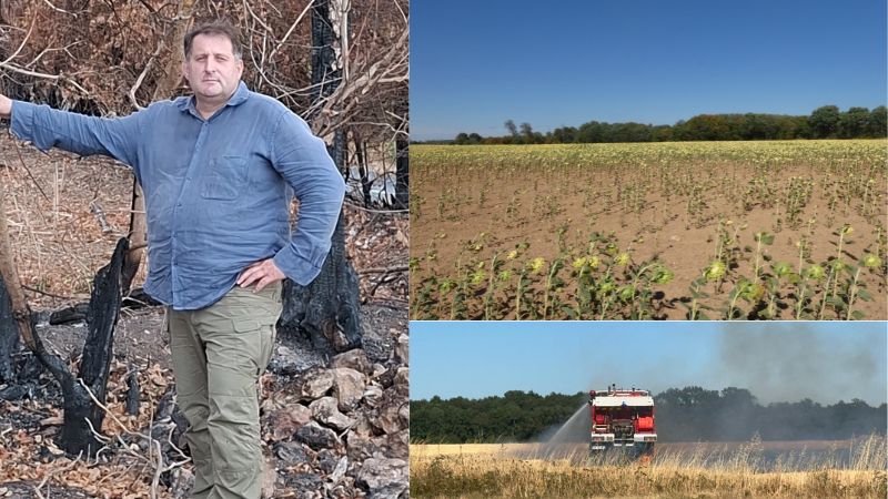 L’agriculture française en 2026 : quand produire ne suffit plus à dégager un revenu