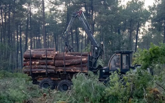 Incendie en Gironde : l’association AC !! Anti-Corruption porte plainte après la réalisation d&rsquo;un pare-feu au Cap-Ferret par un homme d&rsquo;affaires