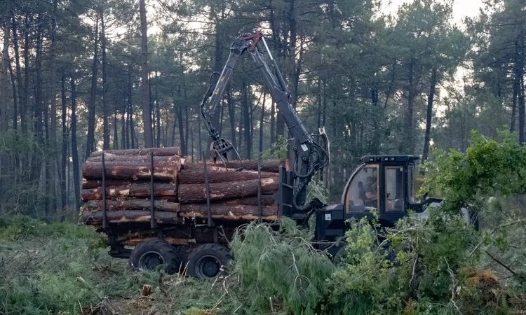 Incendie en Gironde : l’association AC !! Anti-Corruption porte plainte après la réalisation d&rsquo;un pare-feu au Cap-Ferret par un homme d&rsquo;affaires