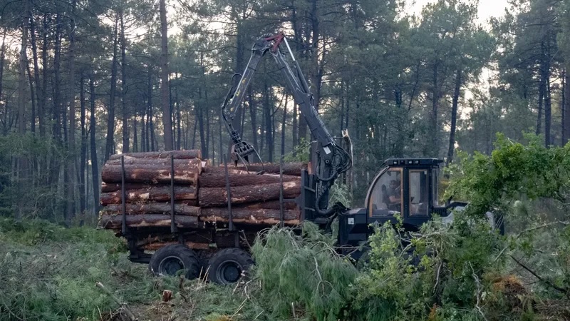 Incendie en Gironde : l’association AC !! Anti-Corruption porte plainte après la réalisation d&rsquo;un pare-feu au Cap-Ferret par un homme d&rsquo;affaires