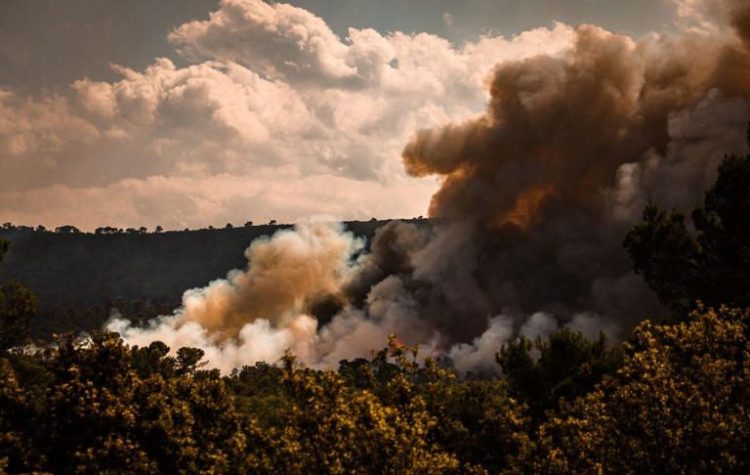 Reprise de feu dans le Var : 1 250 hectares brûlés, 2 500 personnes évacuées