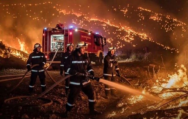 Algérie : les incendies de forêt dans le nord-est du pays font 12 morts