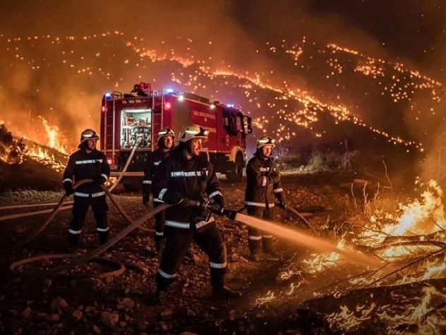 Algérie : les incendies de forêt dans le nord-est du pays font 12 morts
