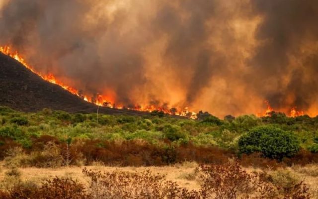 Des dizaines de morts dans les incendies en Algérie : Emmanuel Macron affirme que la France est prête à « venir en aide »