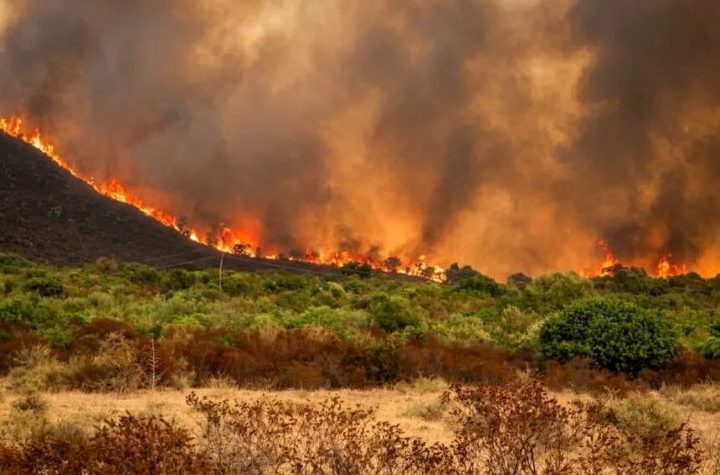 Des dizaines de morts dans les incendies en Algérie : Emmanuel Macron affirme que la France est prête à « venir en aide »